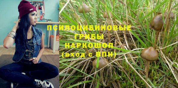 гашик Арсеньев