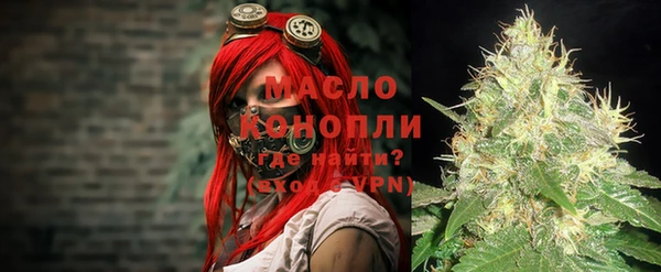 гашик Арсеньев